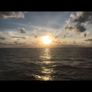 Meet your Posher, Suzanne